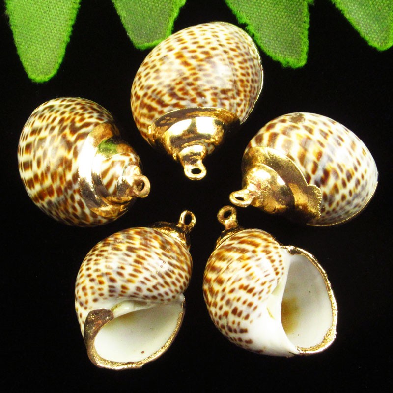 6Pcs 28x20x15mm Natural Gold Plated Nautical Spiral Shell Pendant Bead BK114