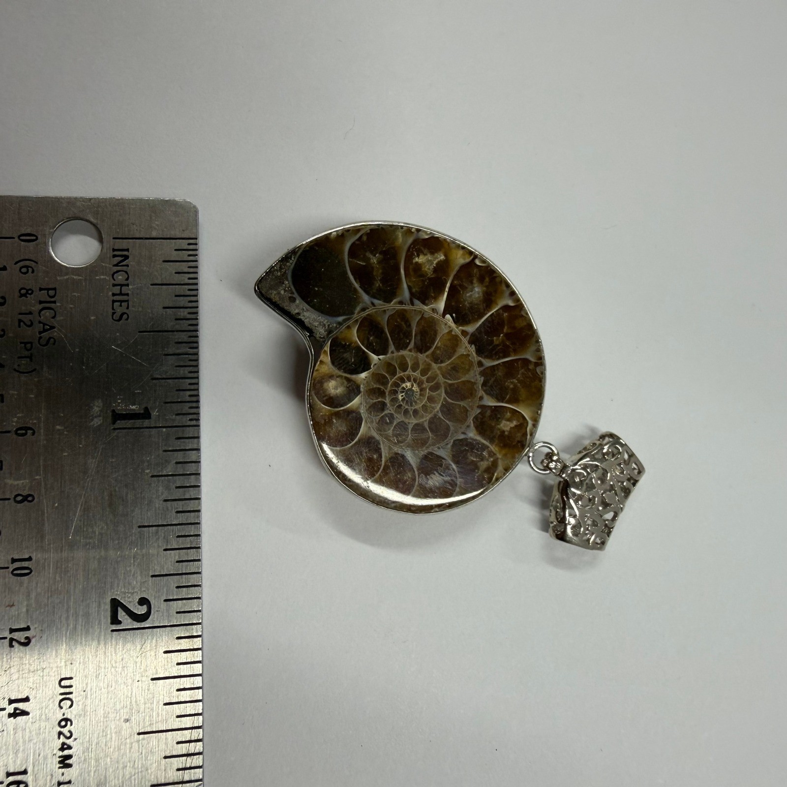 Natural Ammonite Fossil Pendant
