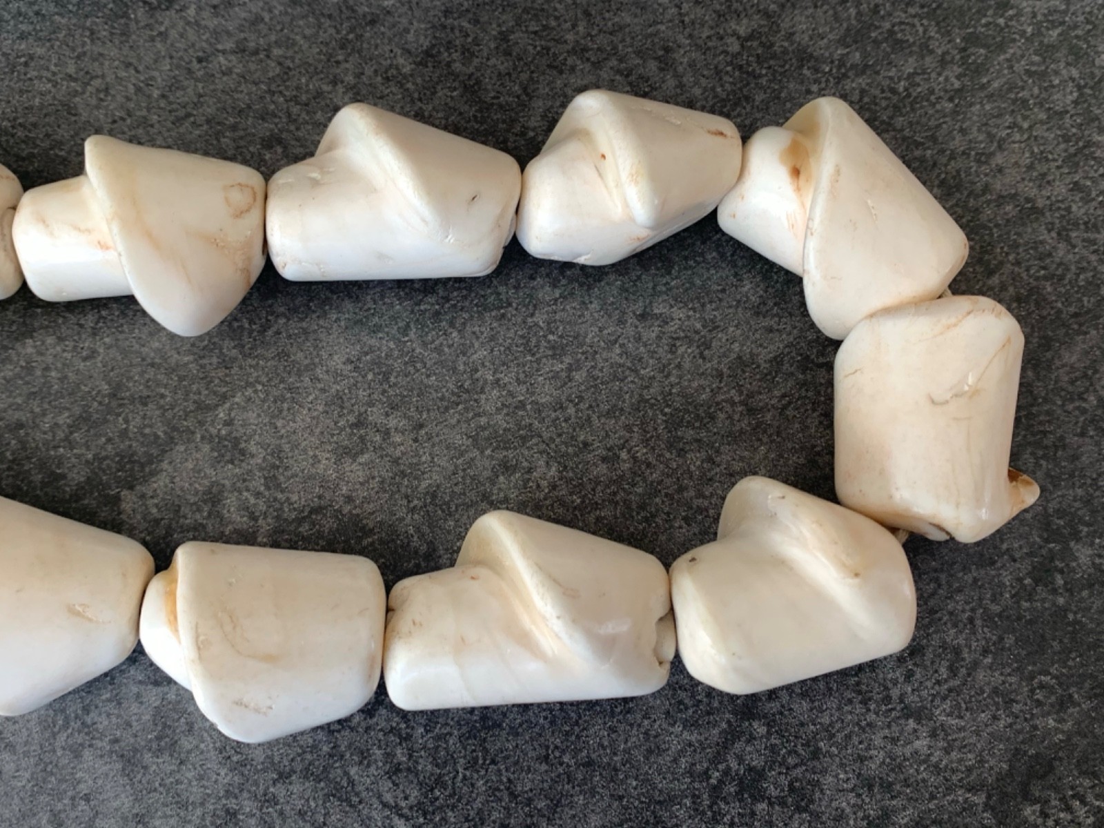 Rare Large Naga Conch Beads, 15-25-35mm, 1.25-1.5″, 24″ length Necklace 83