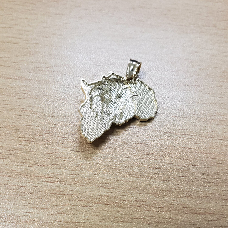 Africa Lion Gold Pendant Necklace