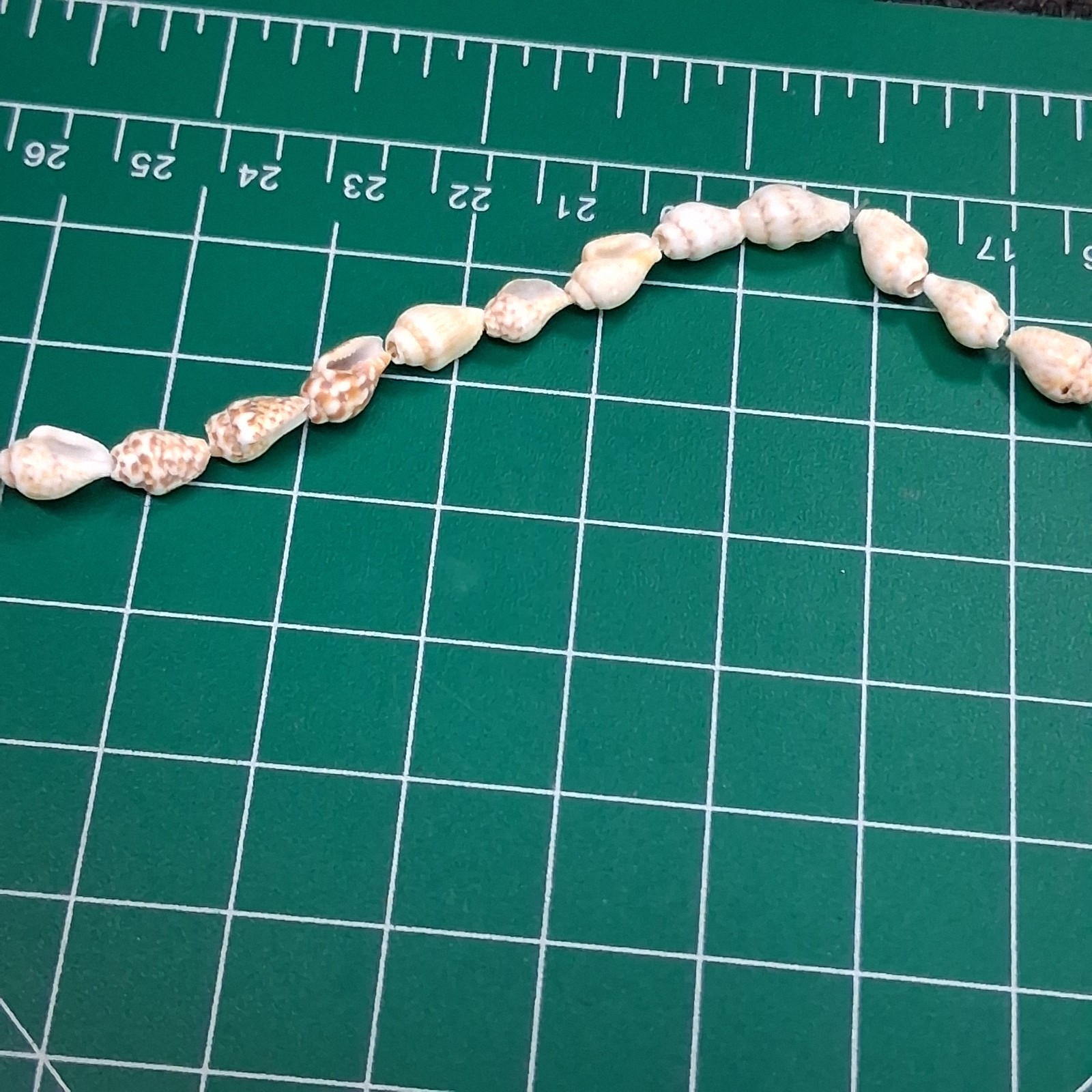 Vintage Small Conch & Glossy Tan Sea Shell 36” Necklace