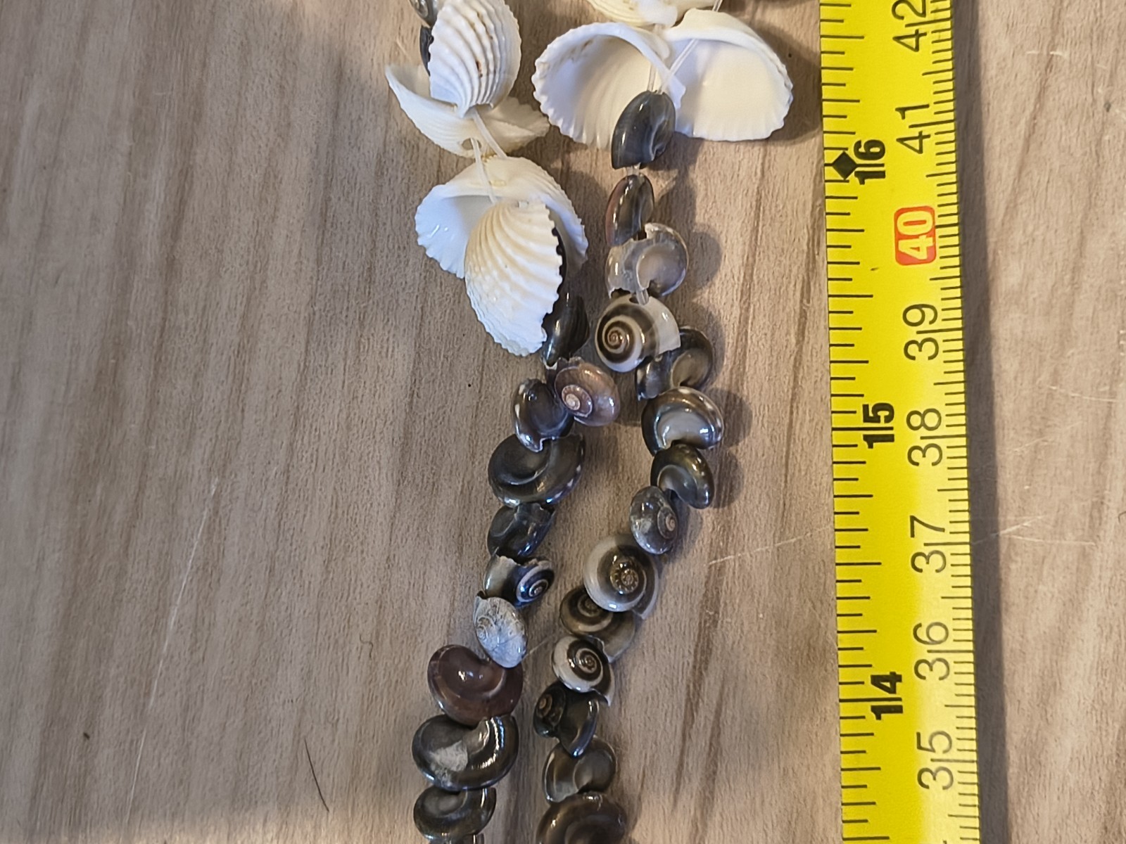 Seashell Long Necklace Great For Summer Fashion Or Anytime You Miss Summer Beach