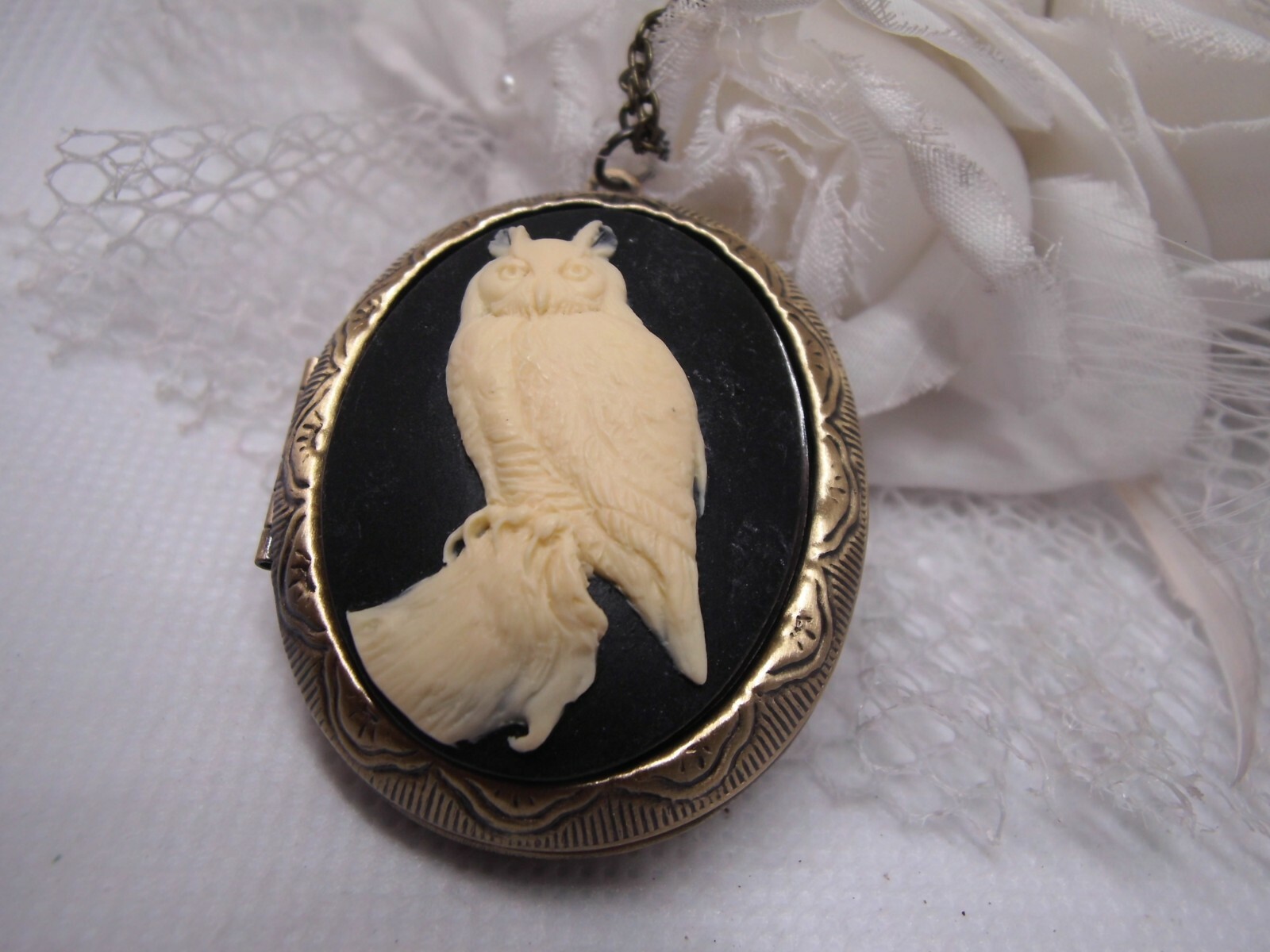 Horned Owl Barn Hoot Cameo PHOTO SILVER Necklace Locket PILL BOX Valentine’s Day