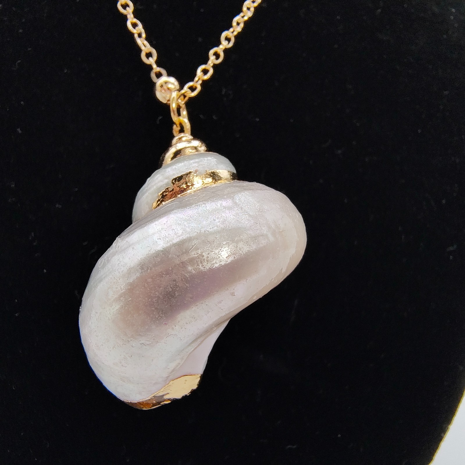 Natural Shell Pendant Necklace 18-20″ Iridescent Gold Tone Satellite Chain Beach