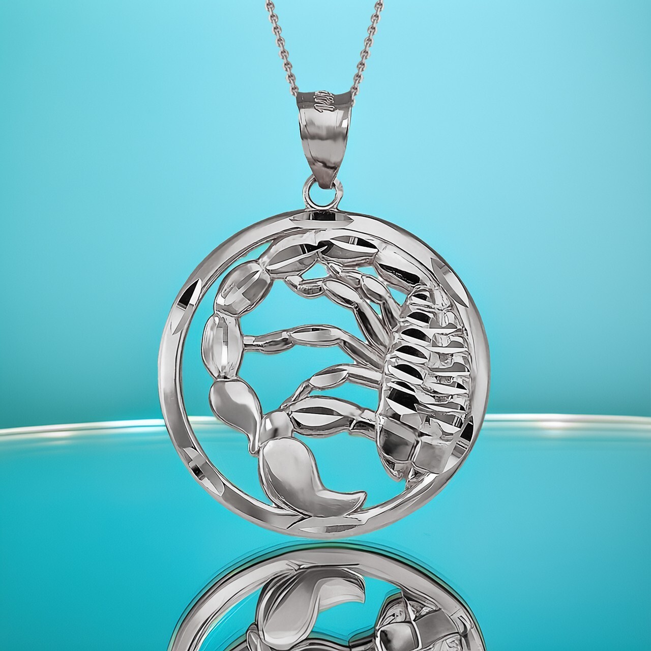 Sterling Silver Zodiac Round DC Pendant Necklace | 12 Horoscope Signs Available