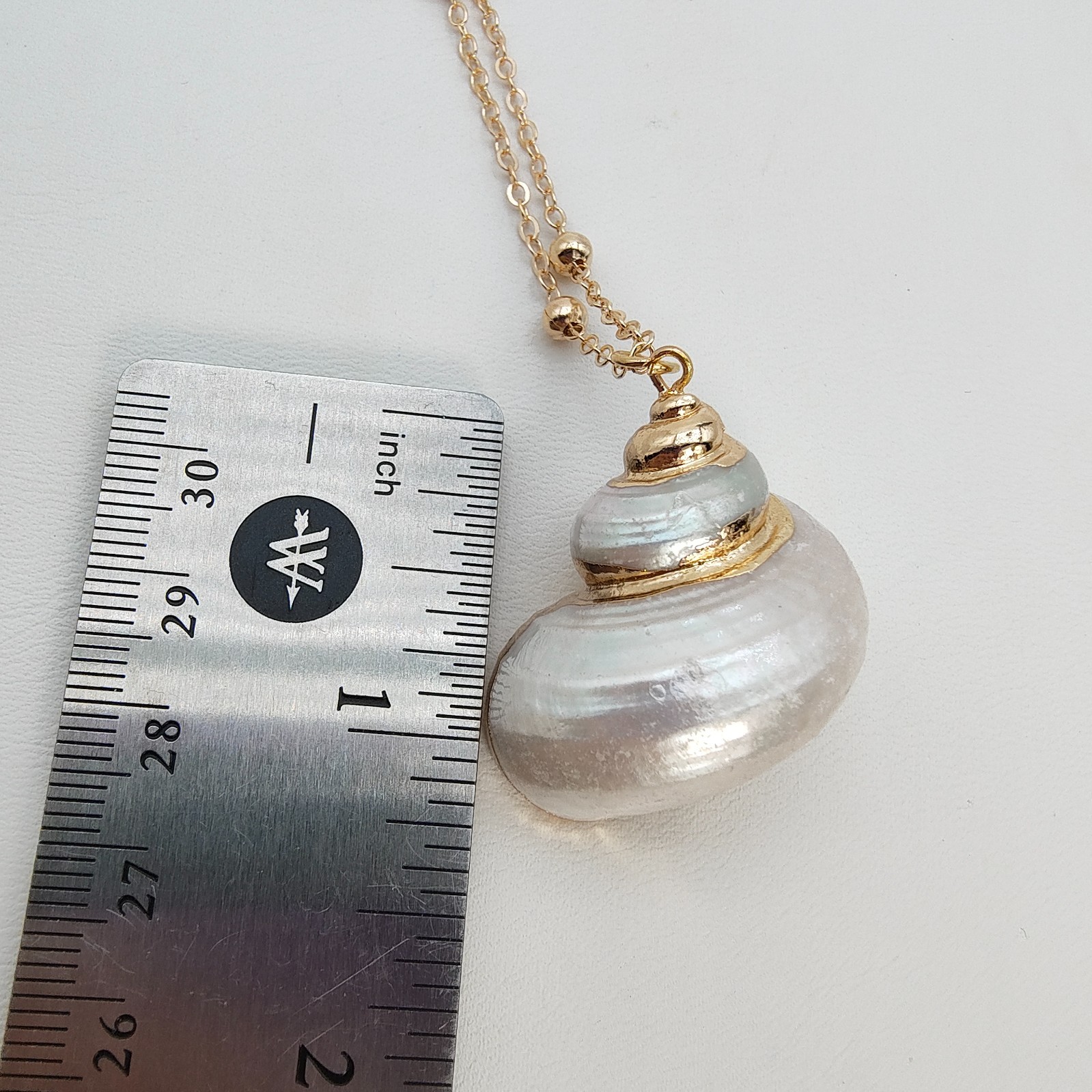 Natural Shell Pendant Necklace 18-20″ Iridescent Gold Tone Satellite Chain Beach