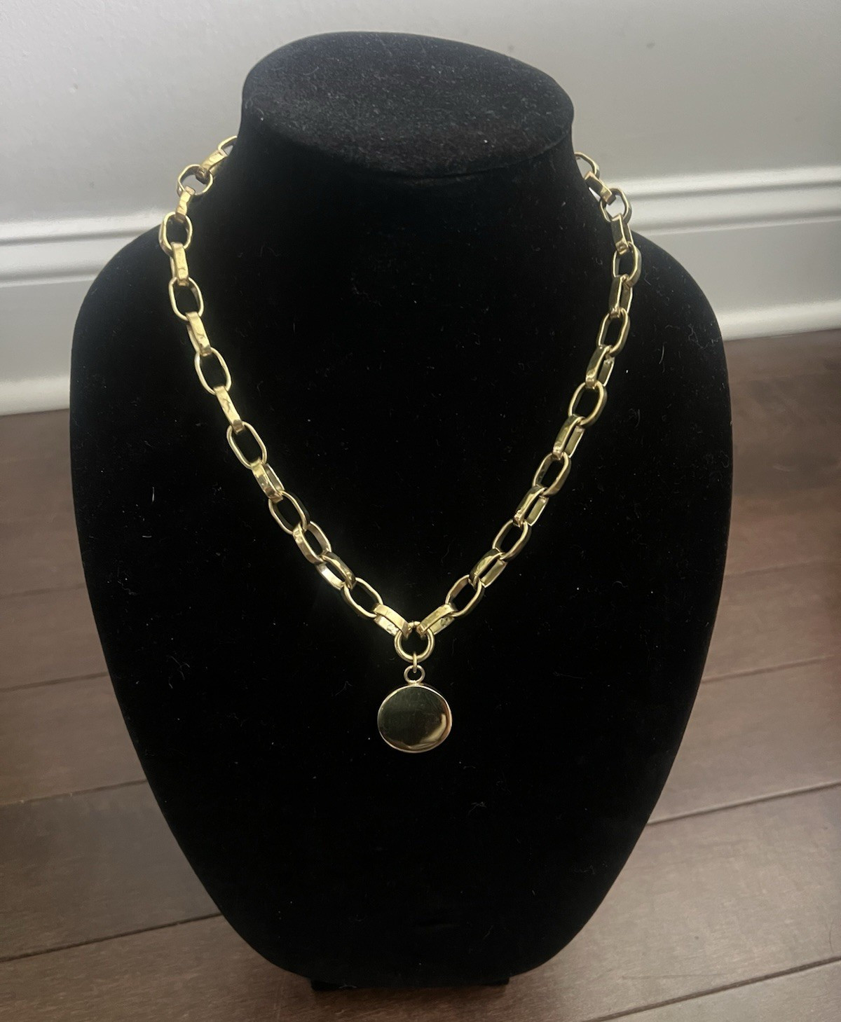 Meyelo Lottie Necklace Gold Tone Oval Link Chain Coin Round Pendant 18in