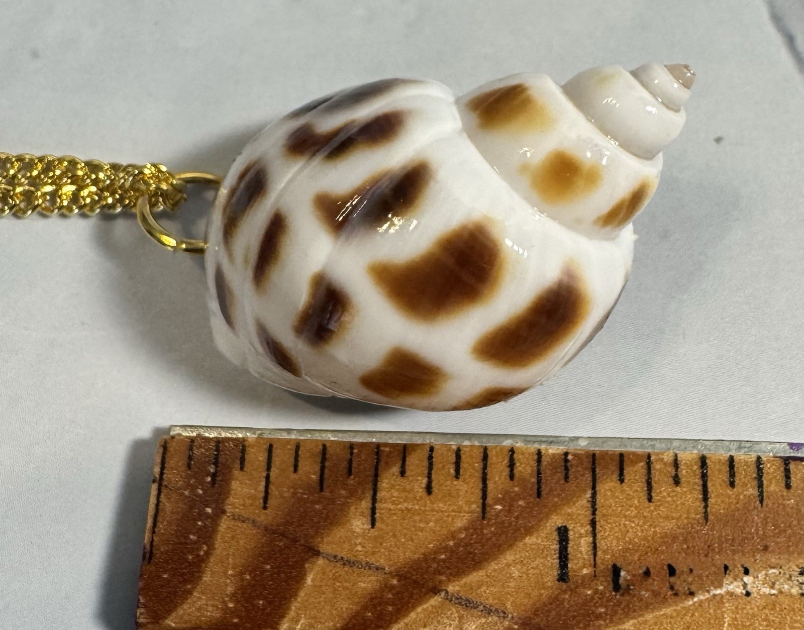 Natural Brown & White Conch Shell Pendant On Golden Chain Made By 927 Designs