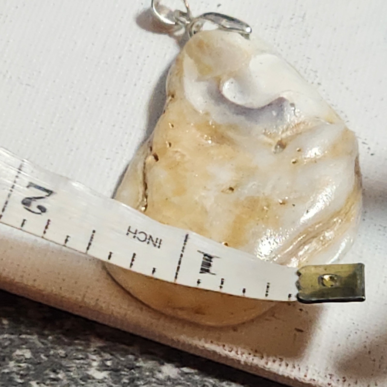 Natural Shell Pendant Organic Coastal Nautical Sea Shell Jewelry 2 Inch