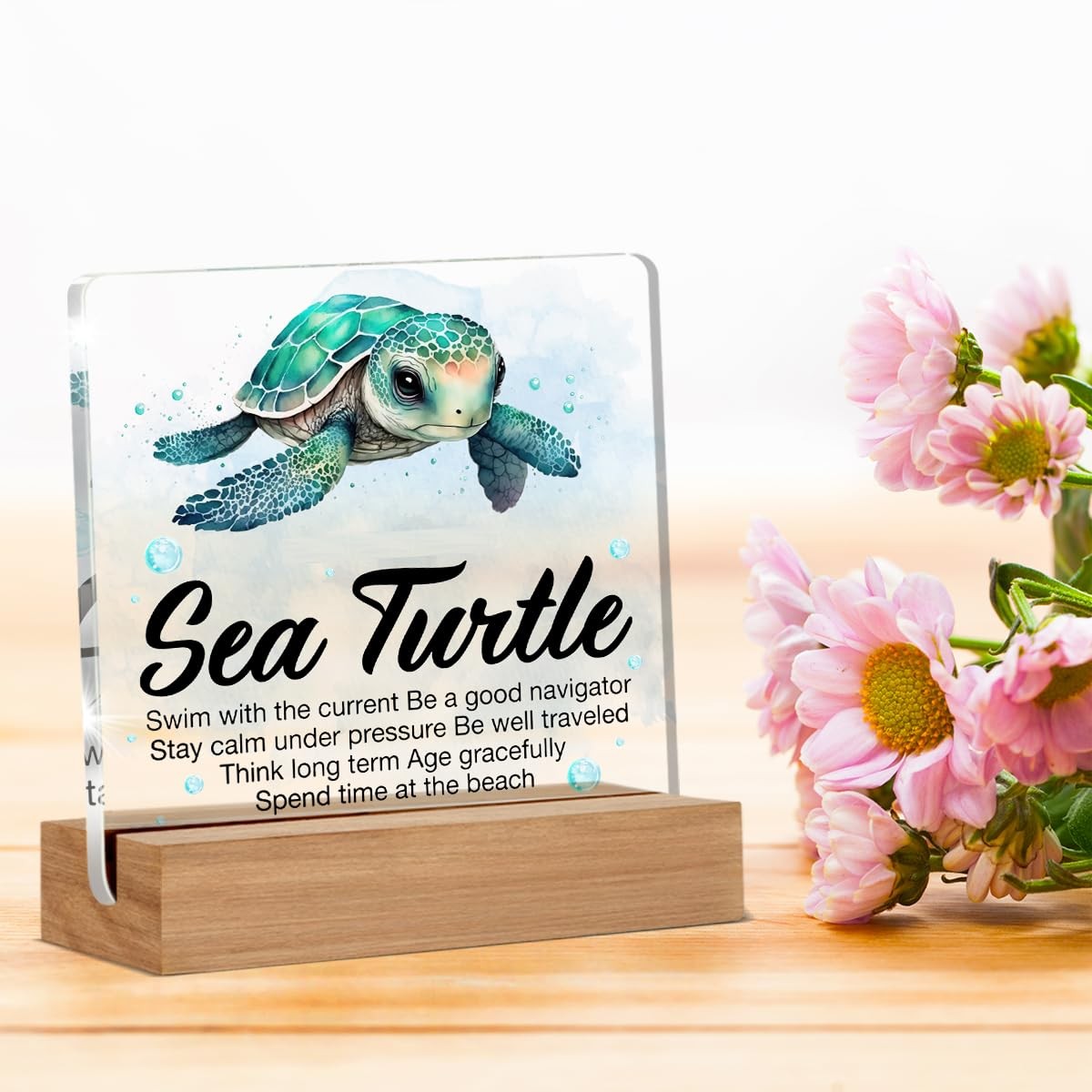 Inspirational Motivational Gifts – Turtle Gifts for Women Men – Sea Turtle Clear