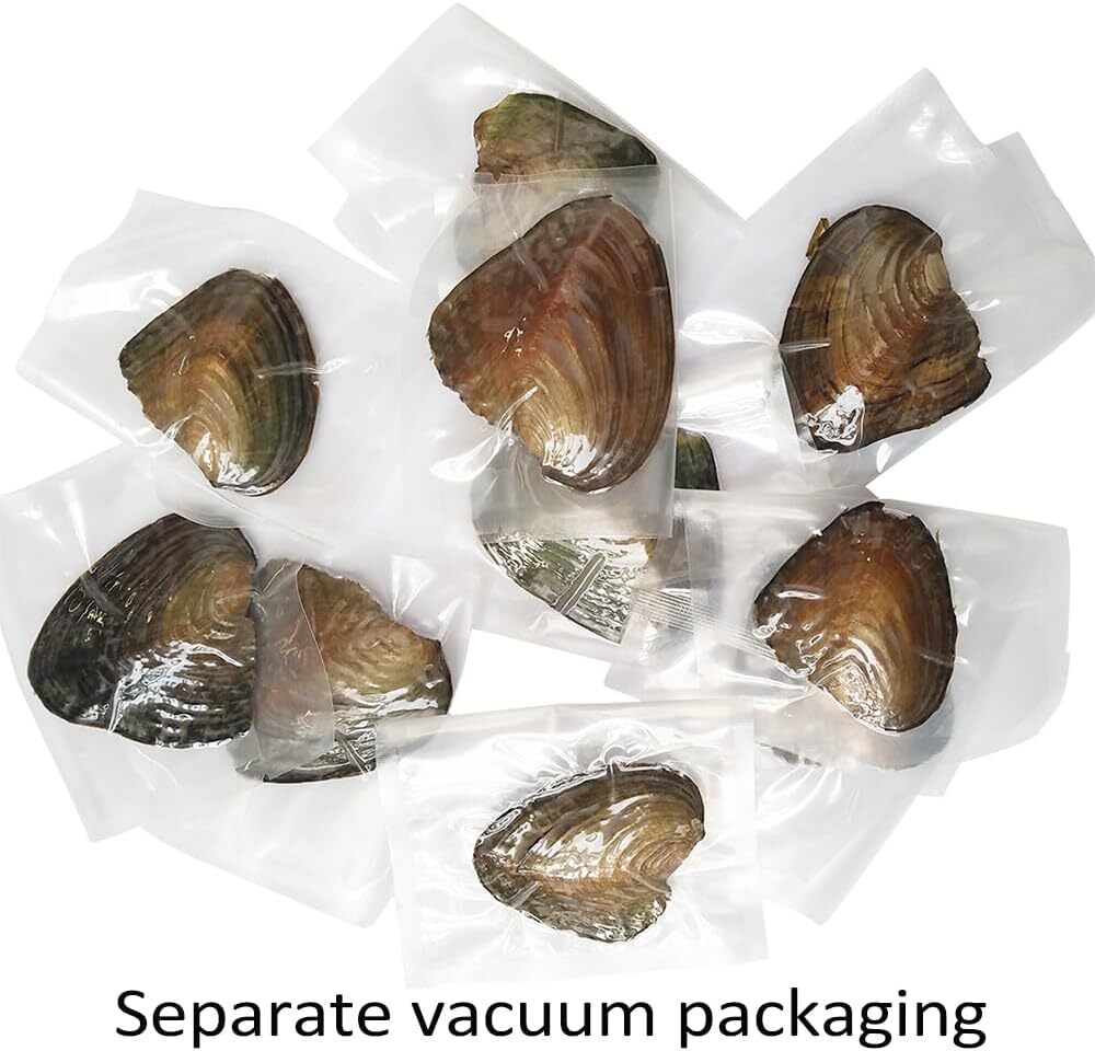 50x Akoya Fresh Oysters with Pearls Freshwater Pearl Individually Wrapped Gifts