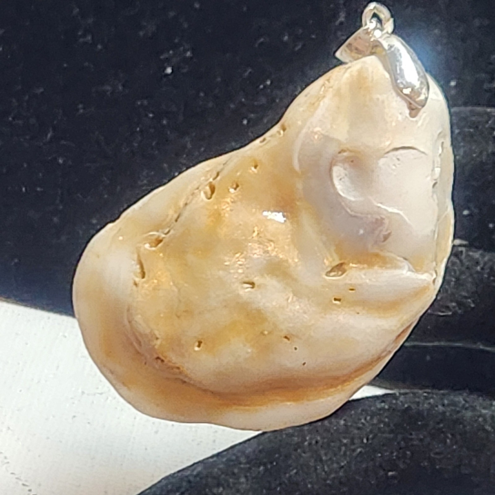 Natural Shell Pendant Organic Coastal Nautical Sea Shell Jewelry 2 Inch