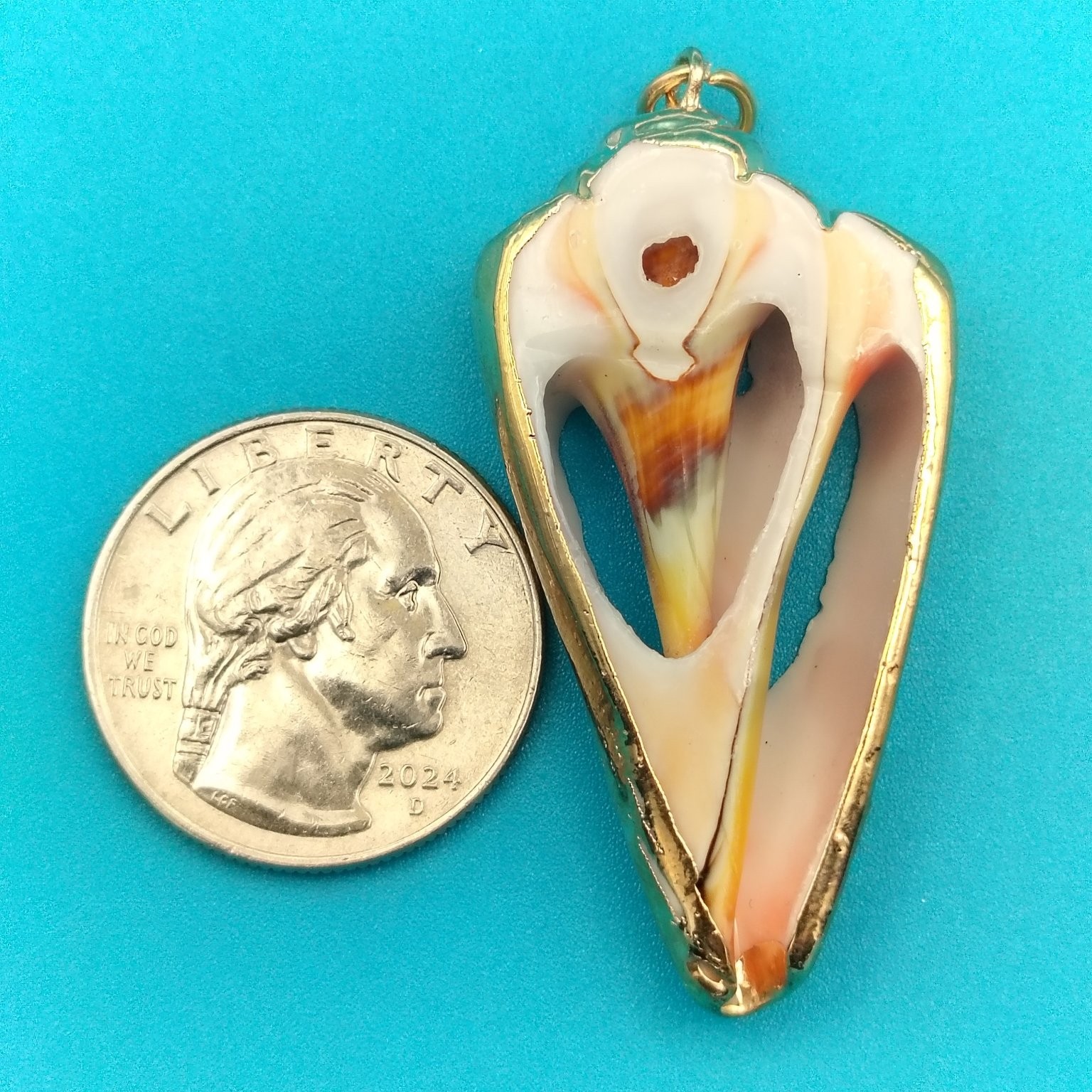 Natural Seashell Conch Pendant Gold Tone Framed Nautical Beach Jewelry ~1.25″