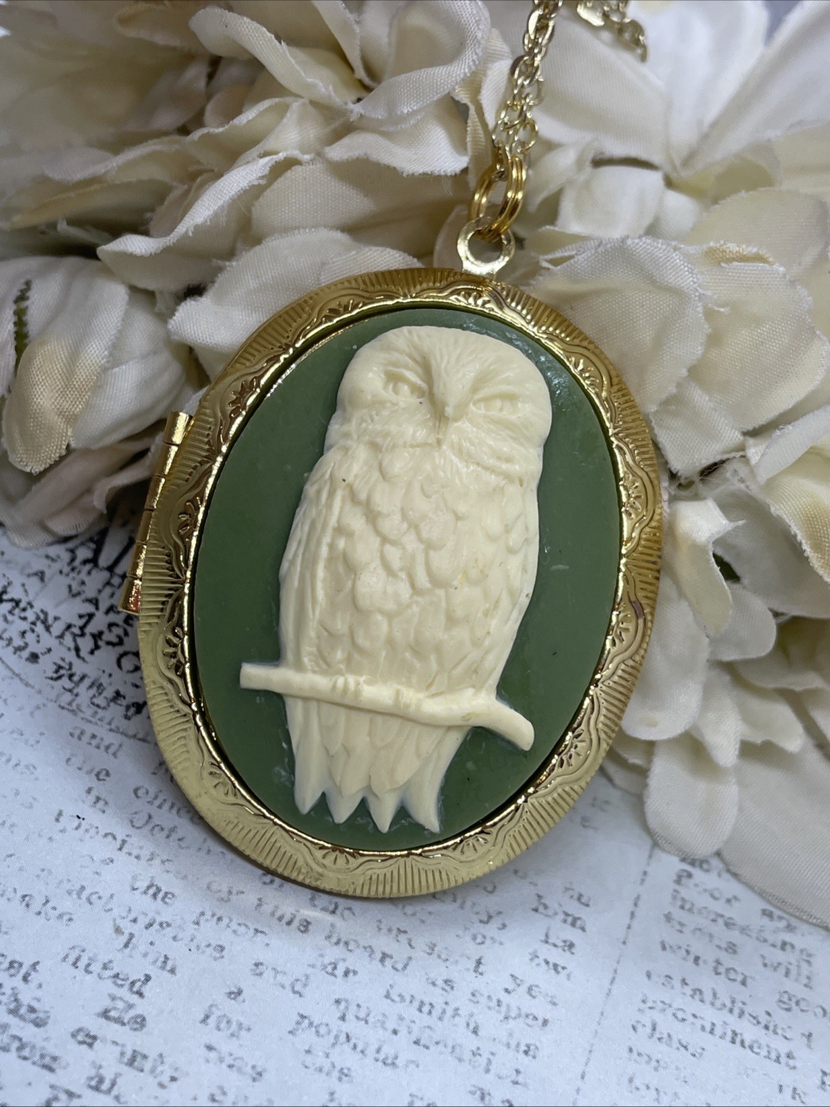 Ylw Gold Photo Locket Necklace Birthday Gift Green Owl Barn Tree Hoot Fall Mom