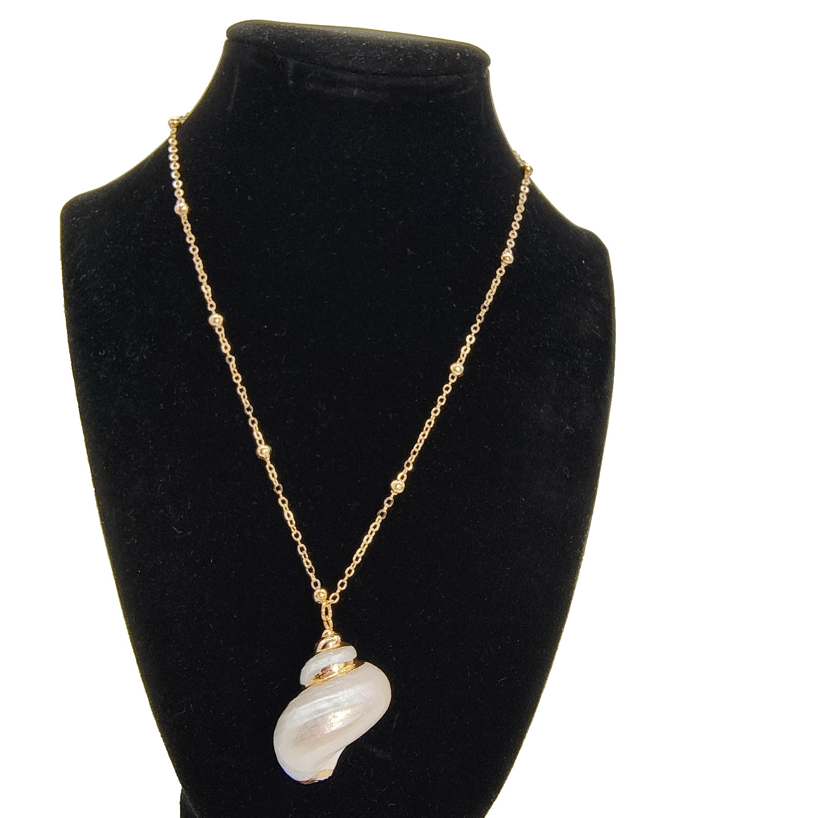 Natural Shell Pendant Necklace 18-20″ Iridescent Gold Tone Satellite Chain Beach