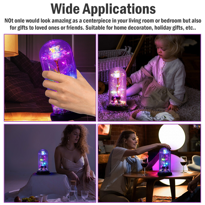 Beauty and The Beast Rose LED Enchanted Galaxy Rose Eternal Flower Lighted Décor