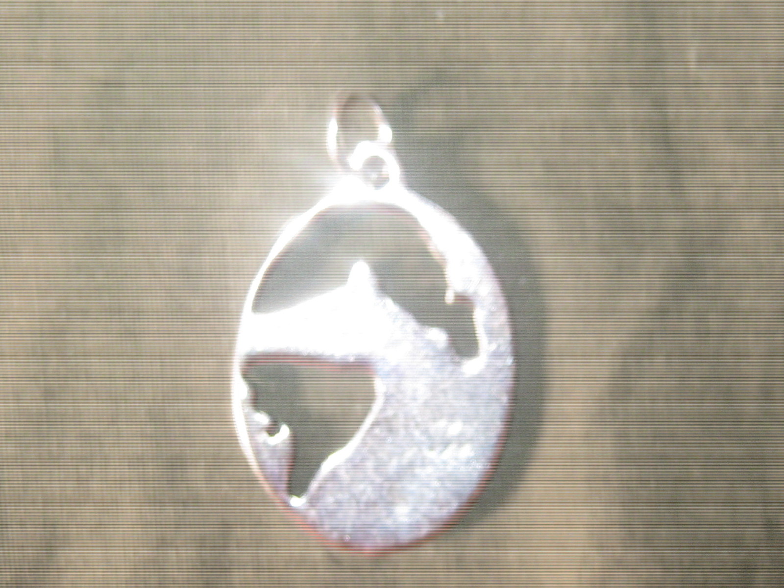 New USA 25mm Antique Silver Oval Horse Head Fantasy Pendant Charm Necklace