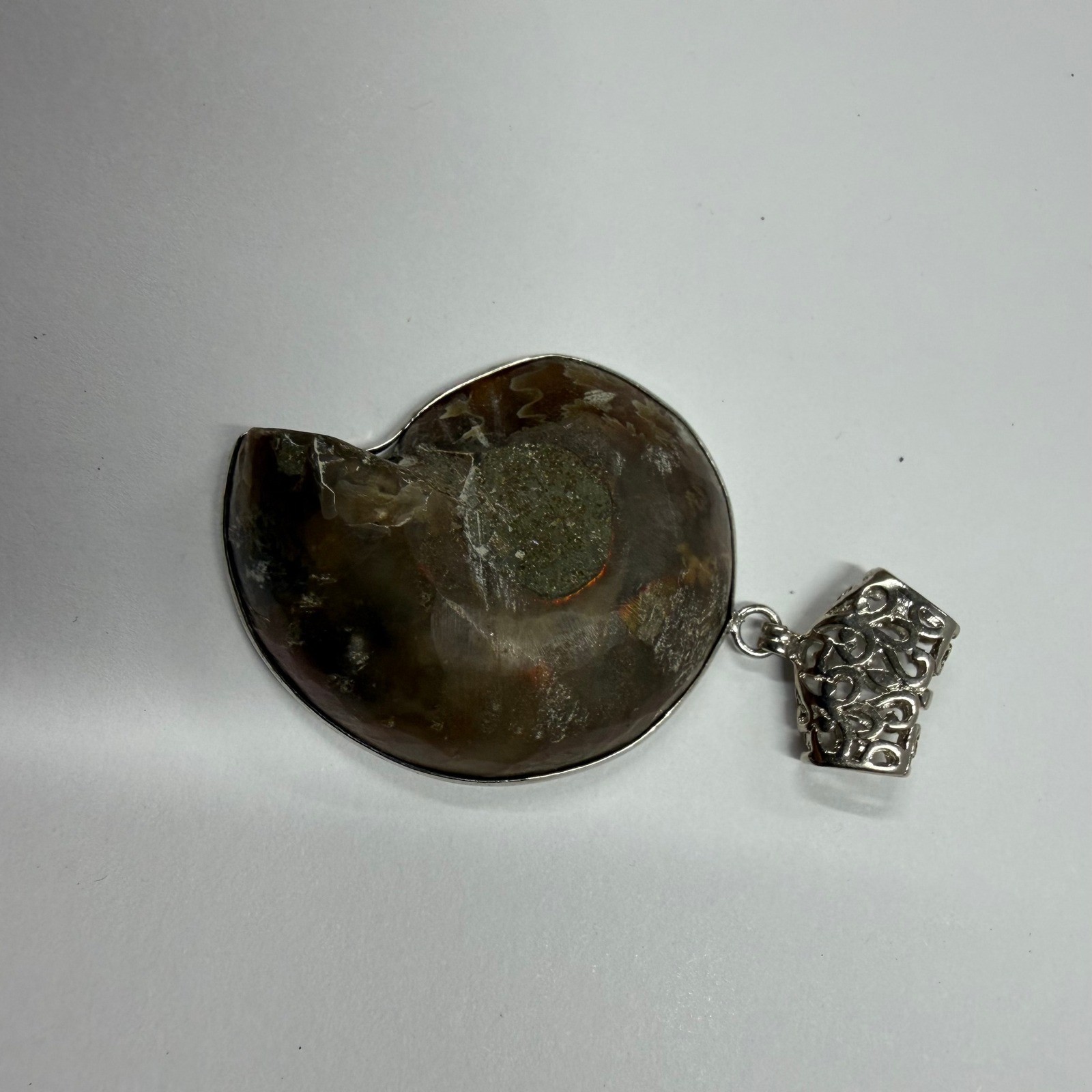 Natural Ammonite Fossil Pendant