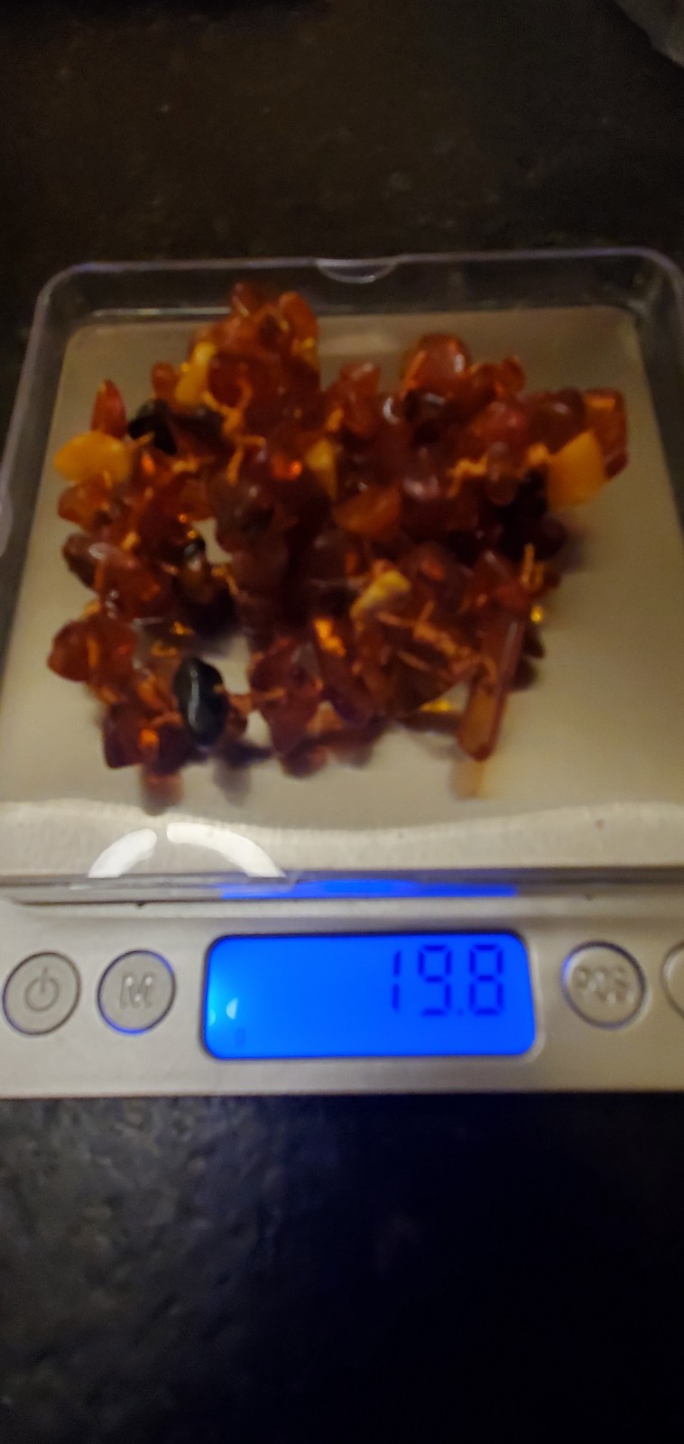 Genuine BALTIC AMBER Golden Honey Knotted Choker Necklace 925 Pierced Earrings