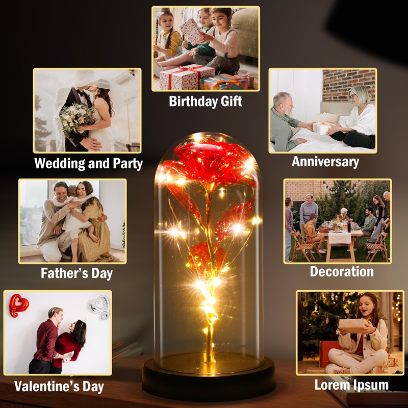 Enchanted Eternal Rose Flower In Glass Dome LED Light Valentine’s Day Gift +Box