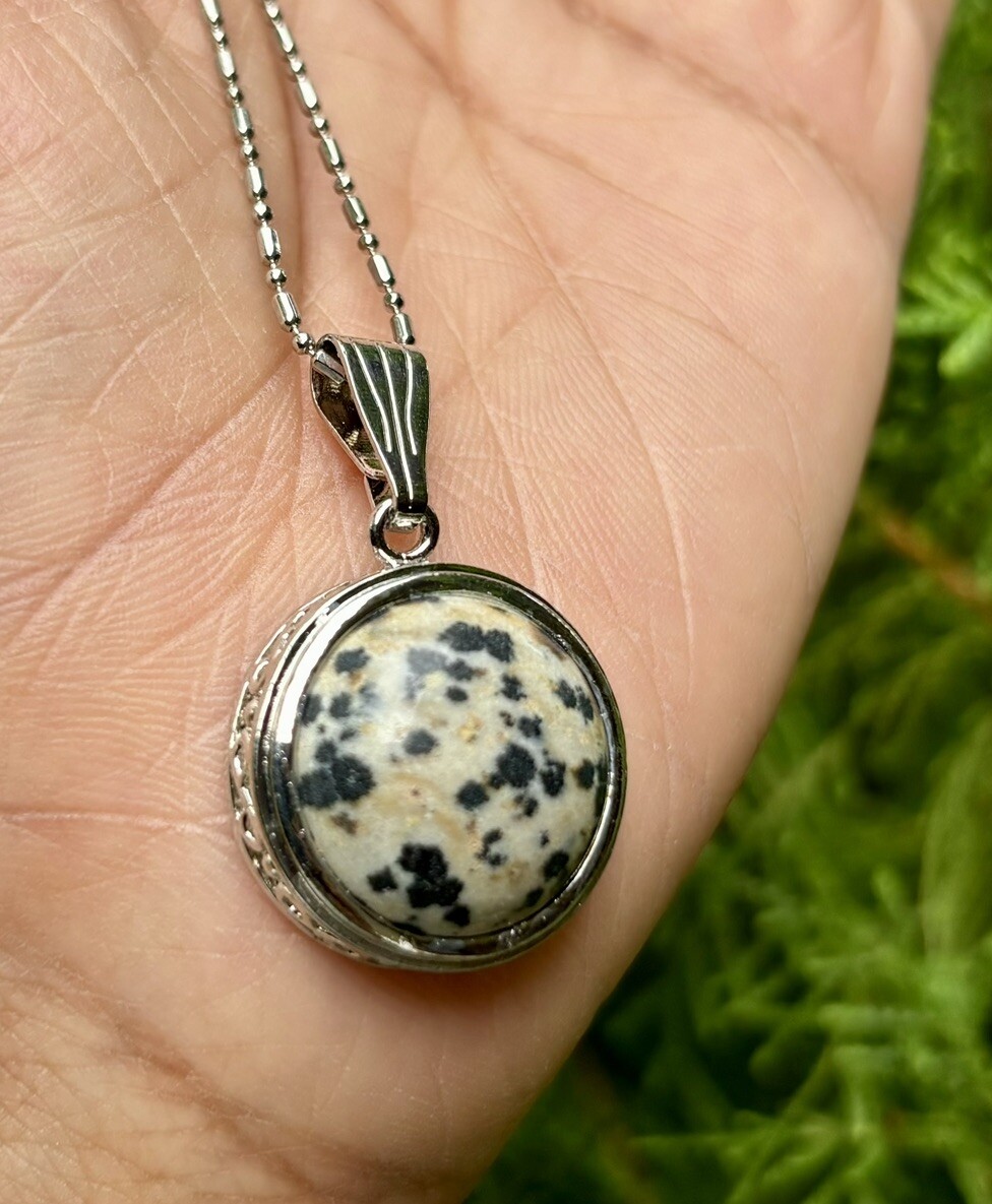 White Gold Filled Dalmation Jasper Fashion Pendant Locket FREE ASSORTED CHAIN #3
