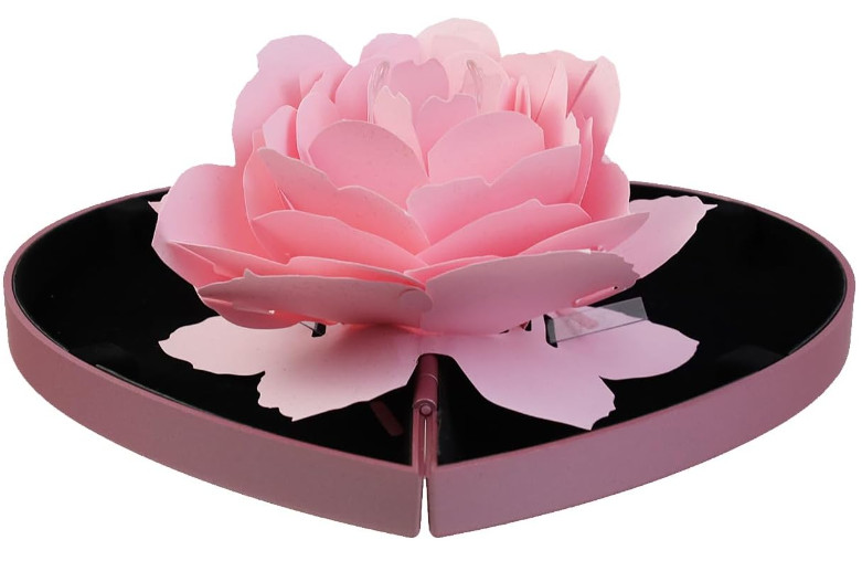 Gifts for Women – Birthday Gifts for Women, Mom, Wife Gifts for Her Girlfriend